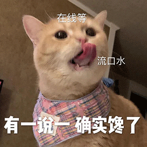 20220706092834182809.gif