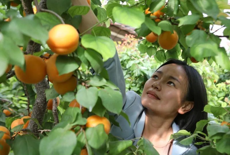 SS:网站文件：20250605163330465982.jpg；原始文件：640 (2).jpg