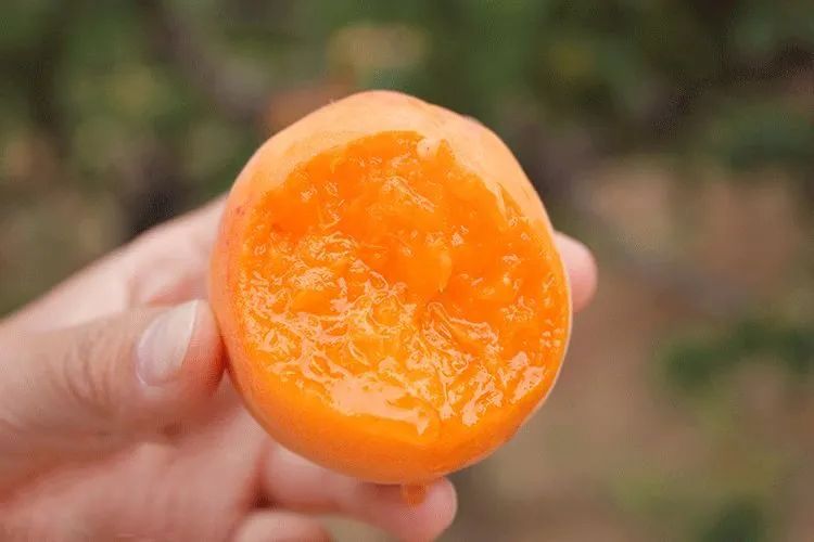 SS:网站文件：20250605163405257238.jpg；原始文件：640 (3).jpg