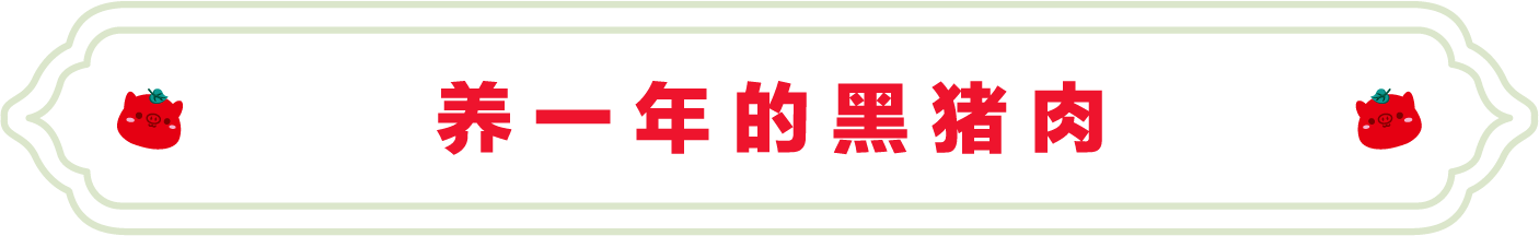 SS:网站文件:20251208113848394839.png;原始文件:1.png SS:网站文件:20251208113848394839.png;原始文件:1.png