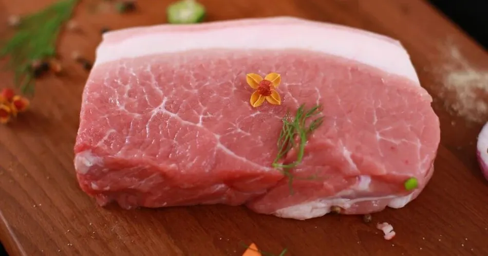 SS:网站文件:20251208142400976230.png;原始文件:640.webp (5).png SS:网站文件:20251208142400976230.png;原始文件:640.webp (5).png