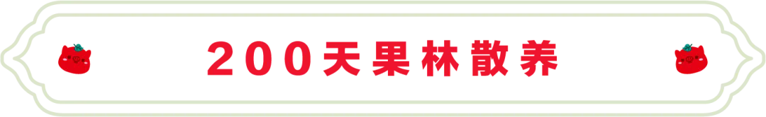 SS:网站文件：20251226153312709270.png；原始文件：640.webp.png